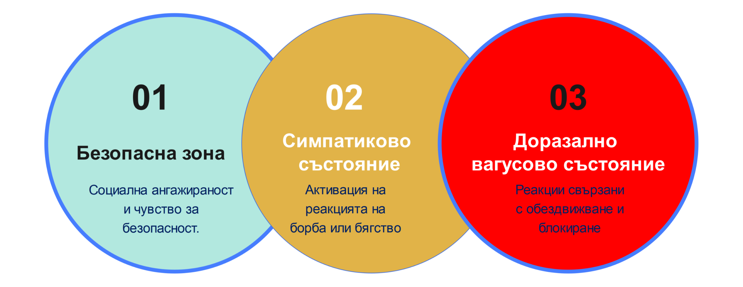 Трите зони на функционални състояния според поливагалната теория